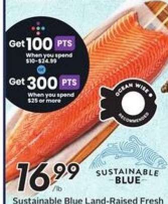 Sustainable Blue Land-Raised Fresh Salmon