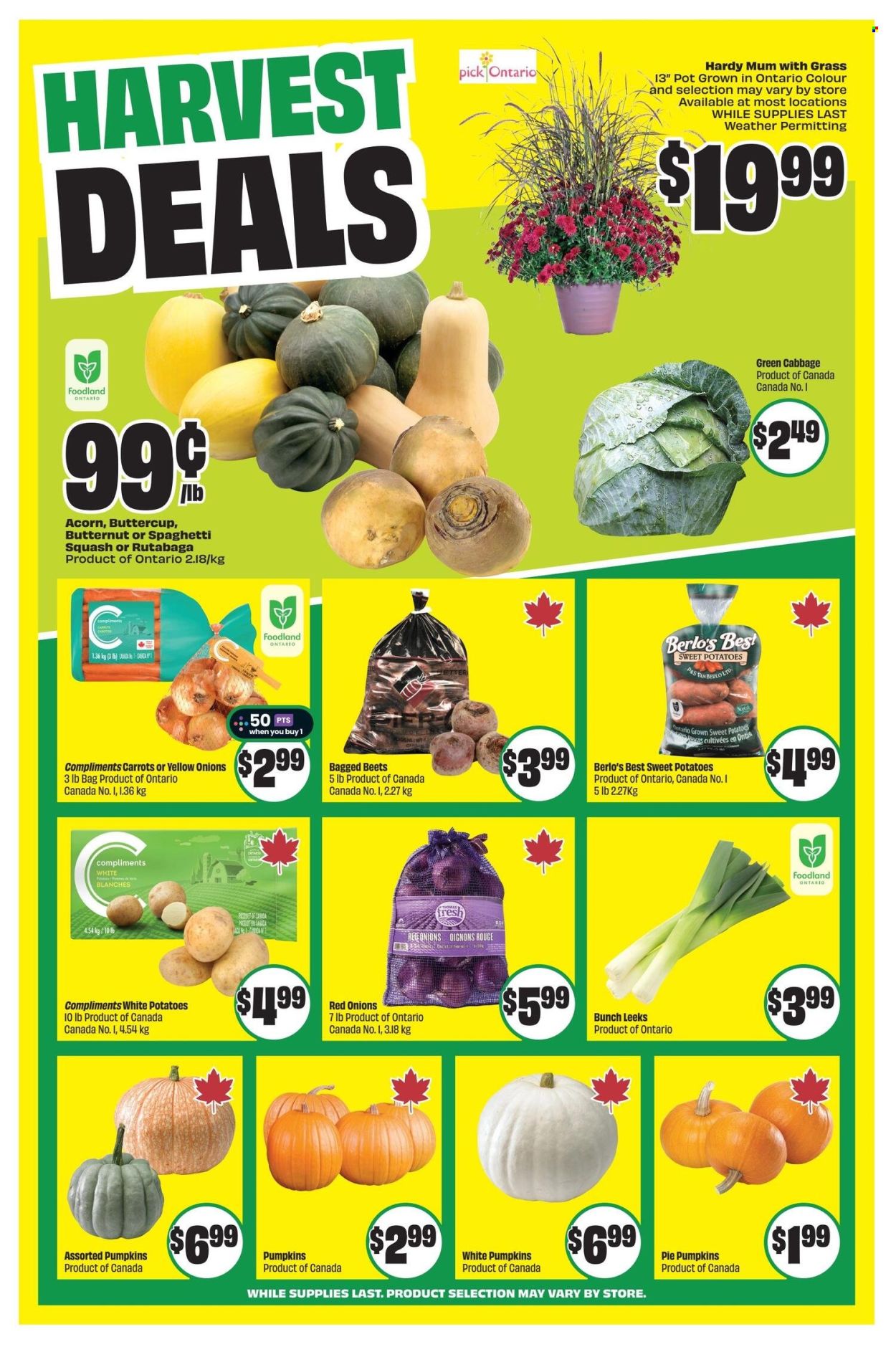 Chalo! FreshCo. flyer - September 11, 2025 - September 17, 2025. Page 5