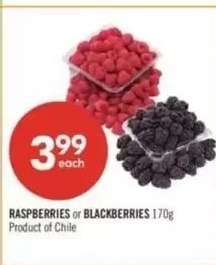 RASPBERRIES OR BLACKBERRIES