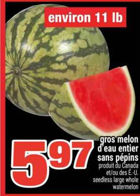 Gros melon d'eau entier sans pépins