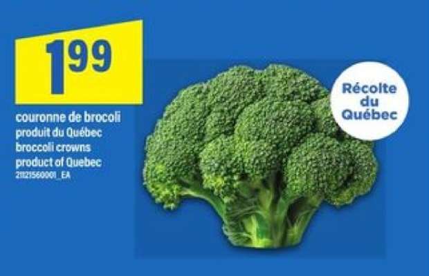COURONNE DE BROCOLI