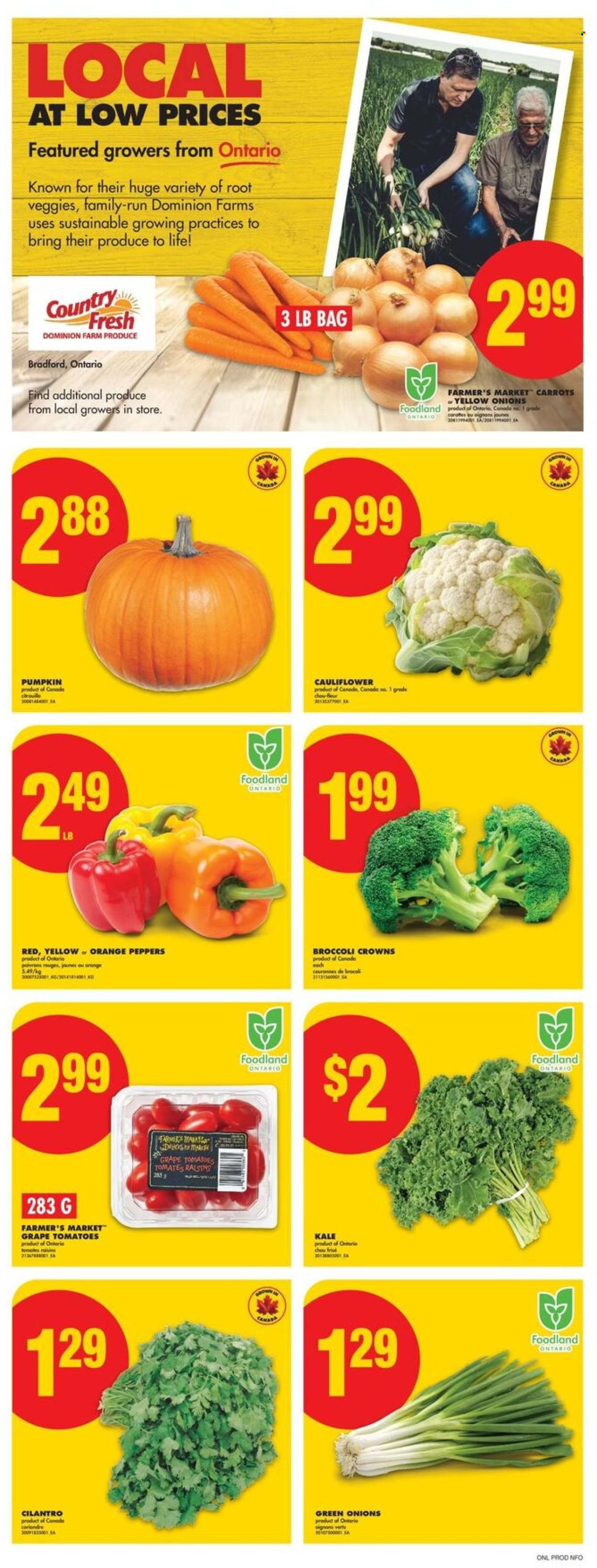 No Frills flyer - September 18, 2025 - September 24, 2025. Page 3