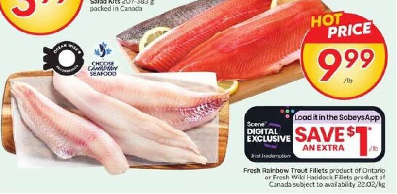 FRESH RAINBOW TROUT FILLETS