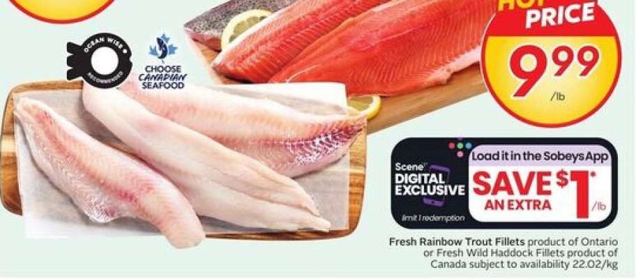 Fresh Rainbow Trout or Haddock Fillets