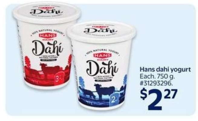 HANS Dahi Yogurt