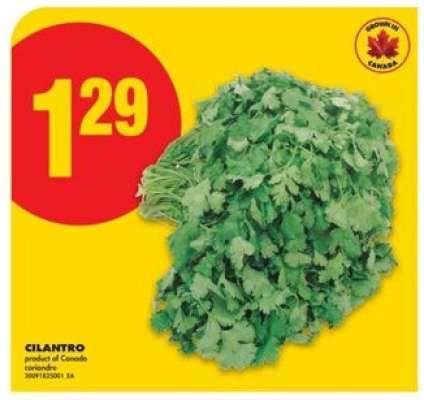 CILANTRO