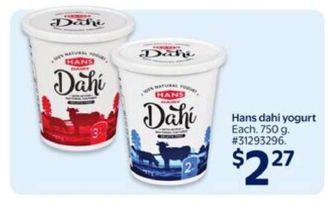 HANS Dahi Yogurt