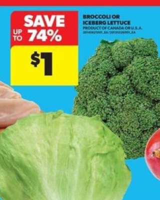 Broccoli or Iceberg Lettuce