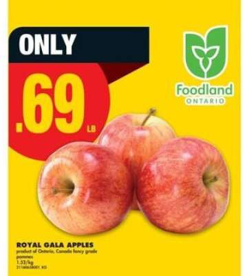 ROYAL GALA APPLES